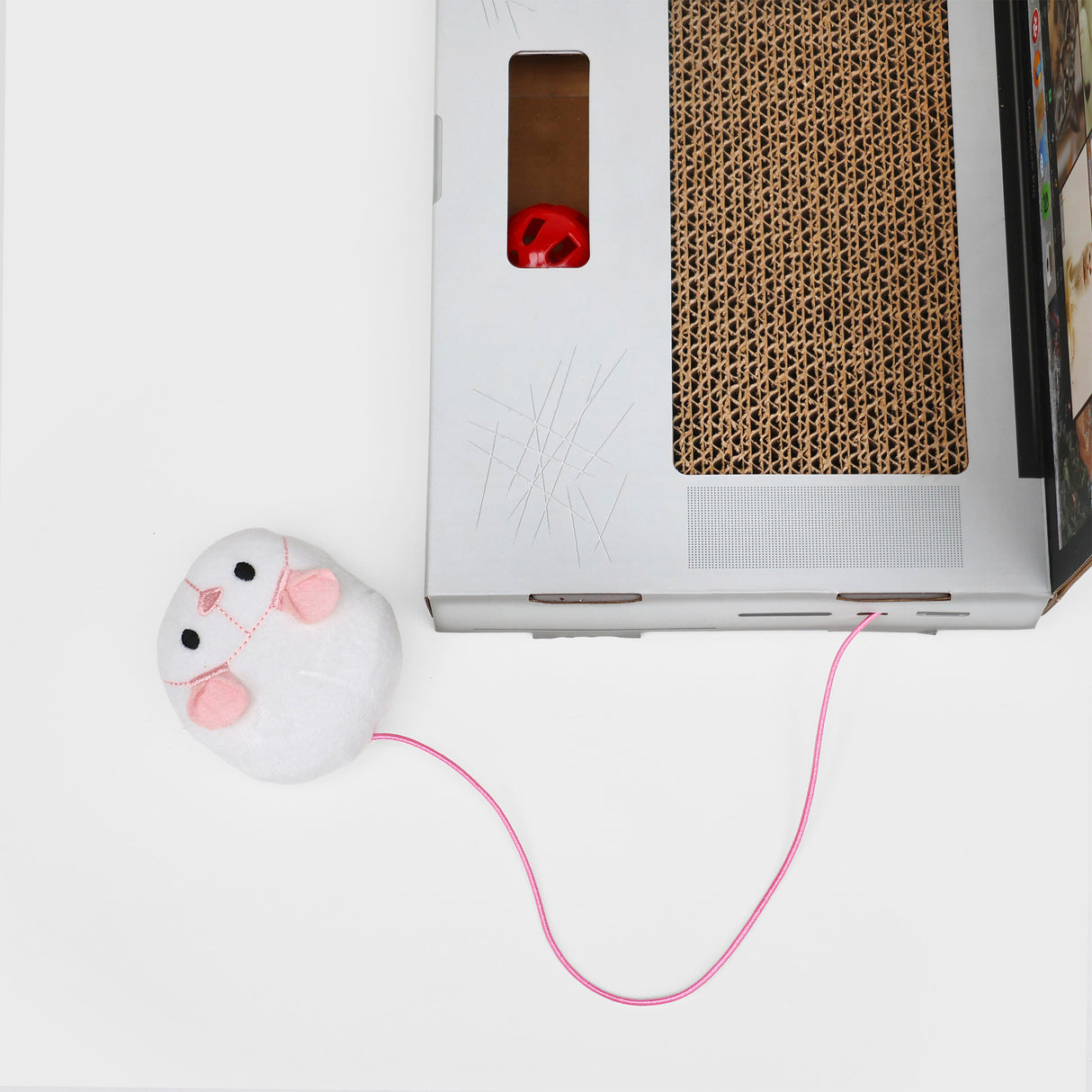 CAT SCRATCH LAPTOP