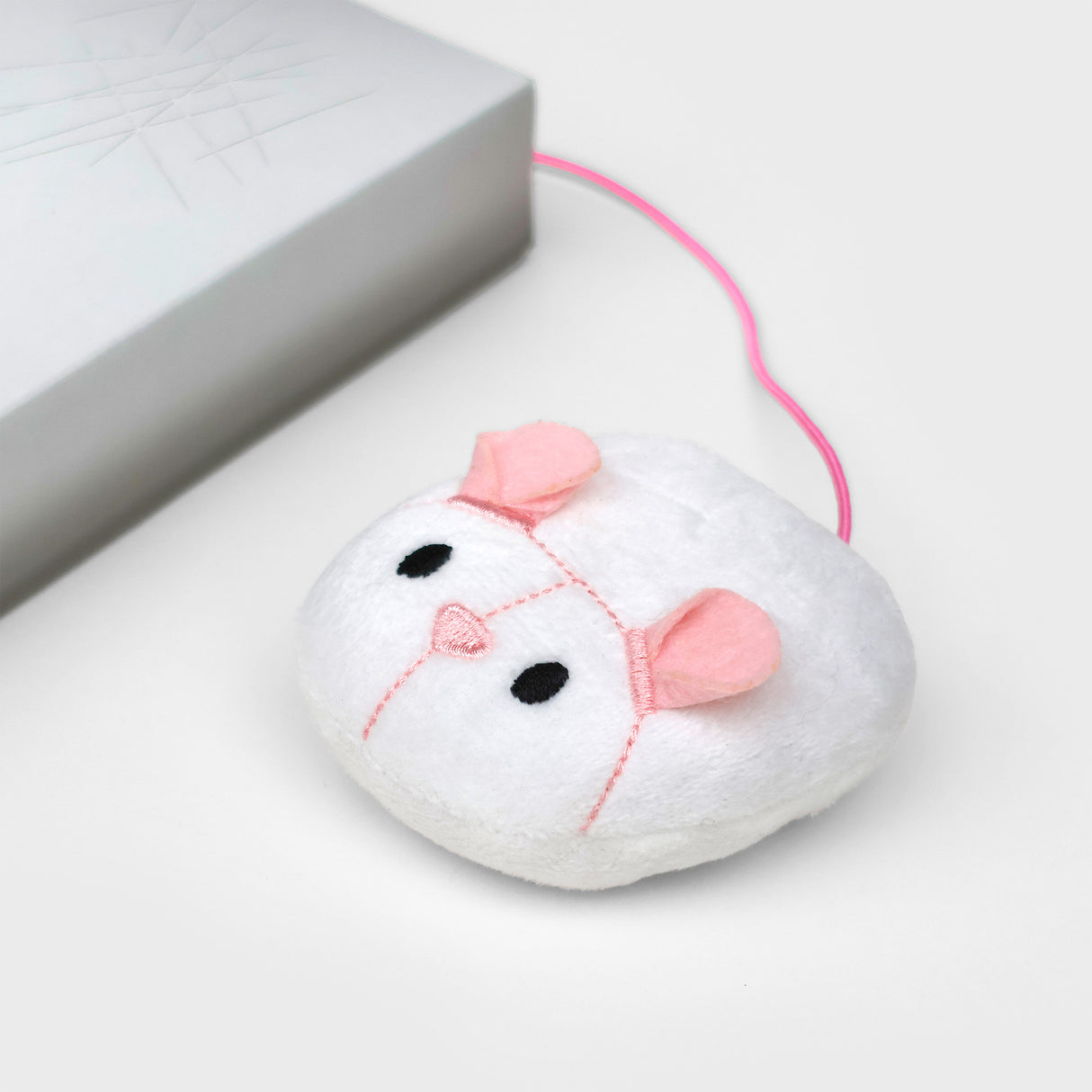 CAT SCRATCH LAPTOP