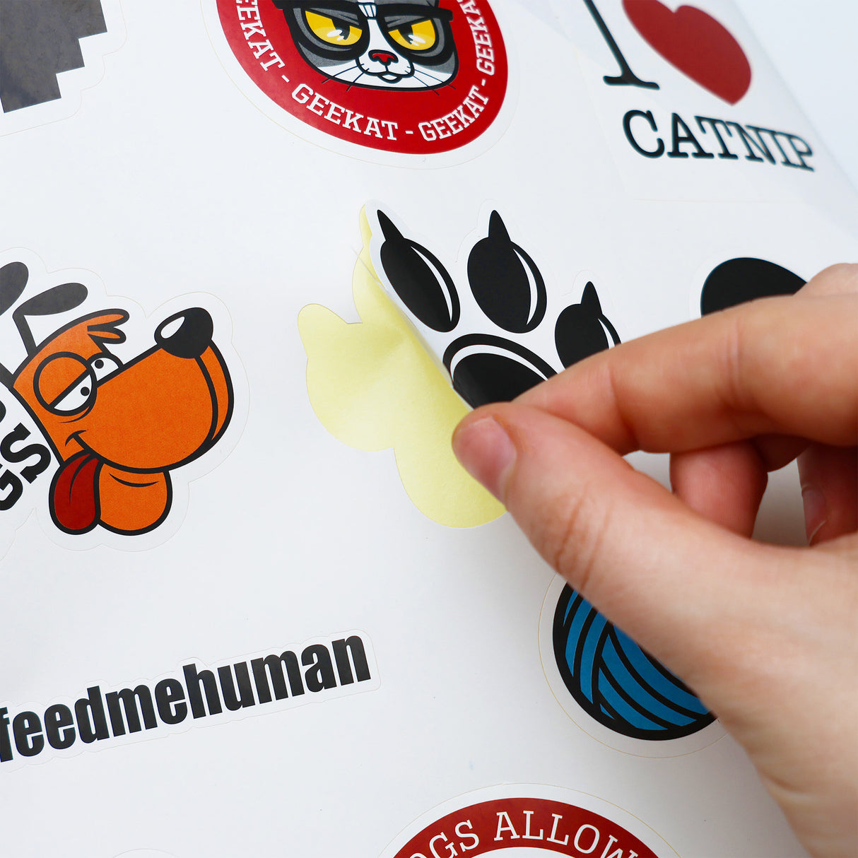 CAT SCRATCH LAPTOP