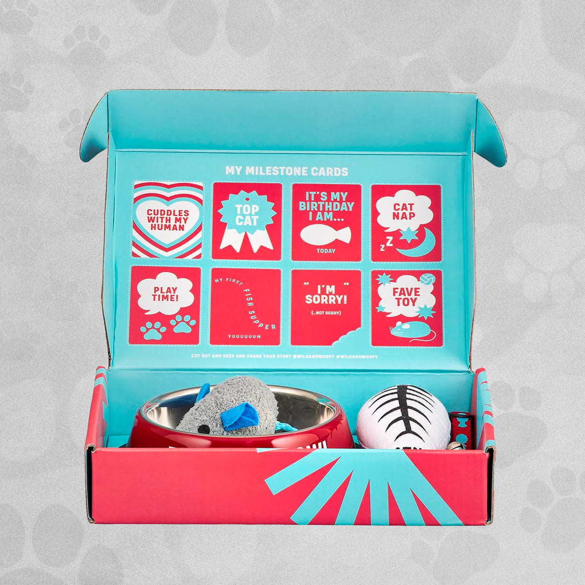 Wild Woofy Cat Starter Kit