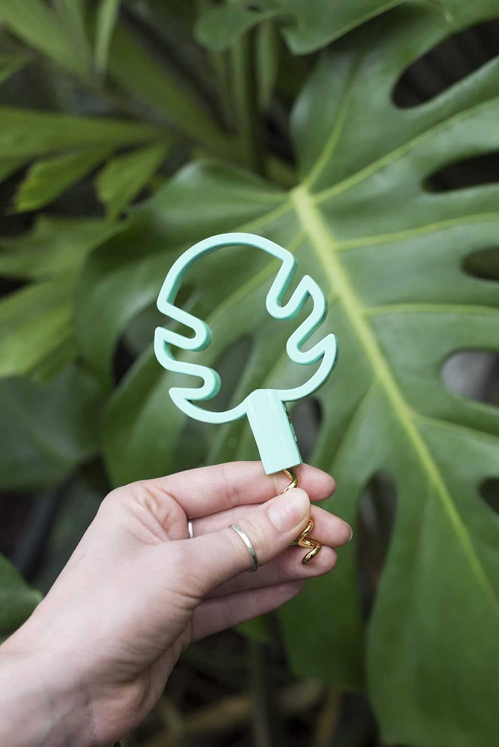 Corkscrew Tropical Topaz