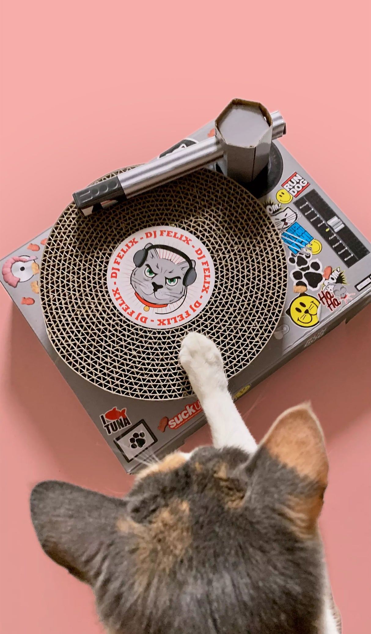Cat Scratch Turntable