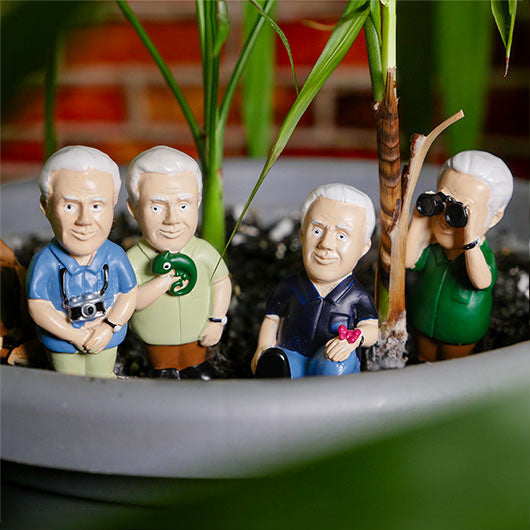 Attenborough Plant Pot Explorers