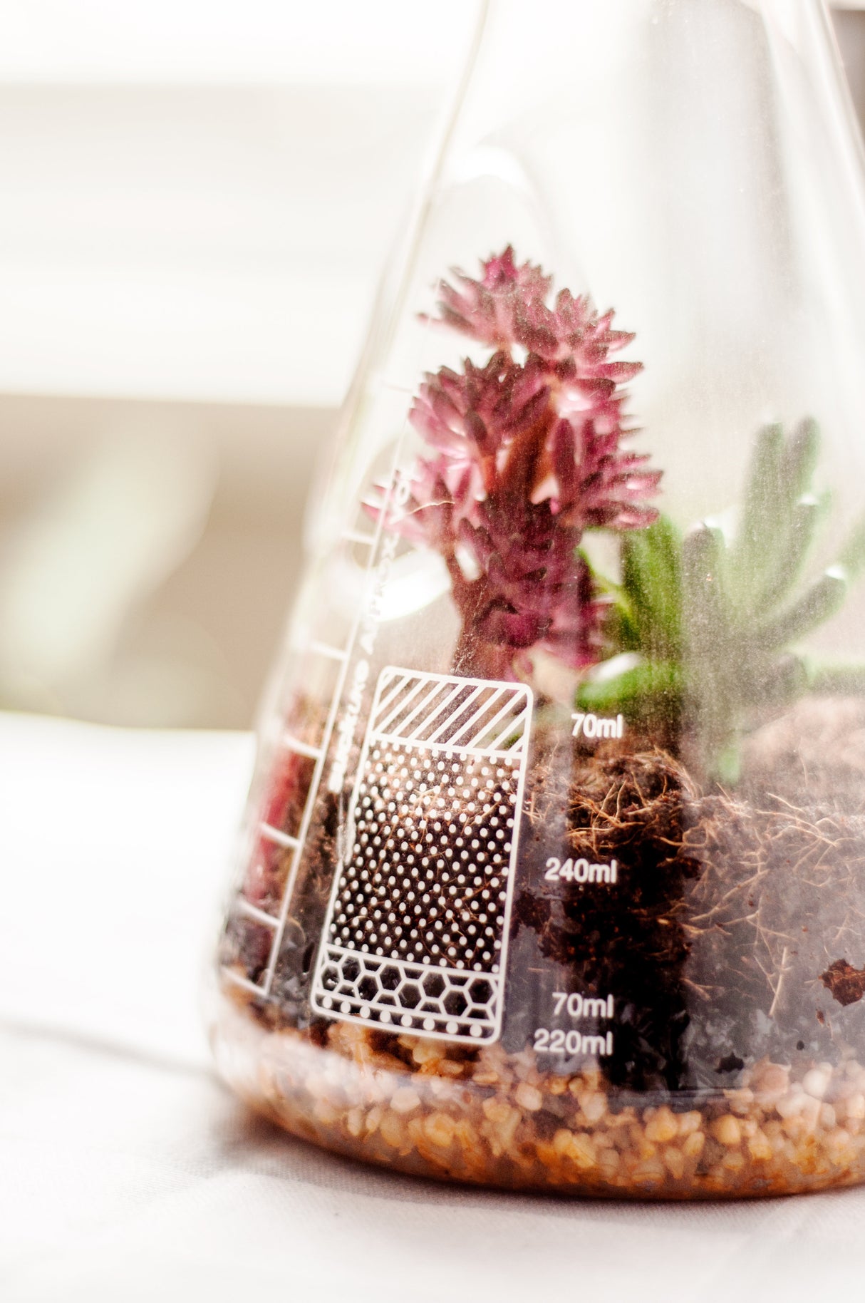 Chemistry Terrarium Kit