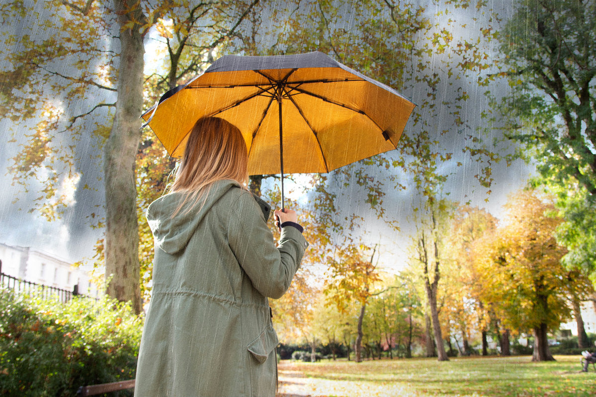 Black and Gold Umbrella