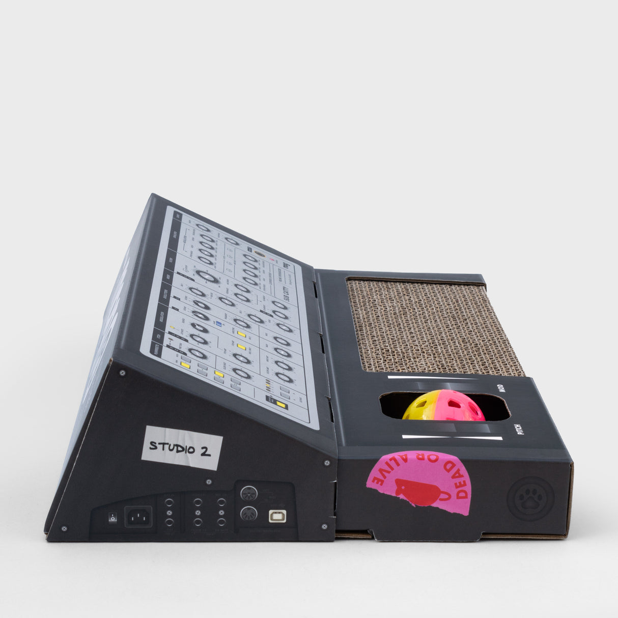 CAT SCRATCH SYNTH