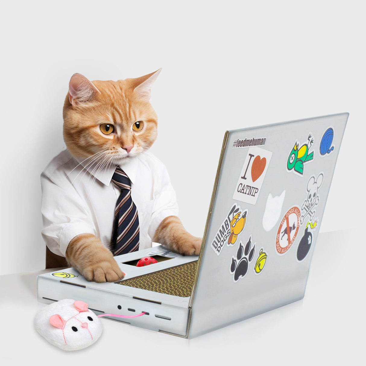 CAT SCRATCH LAPTOP