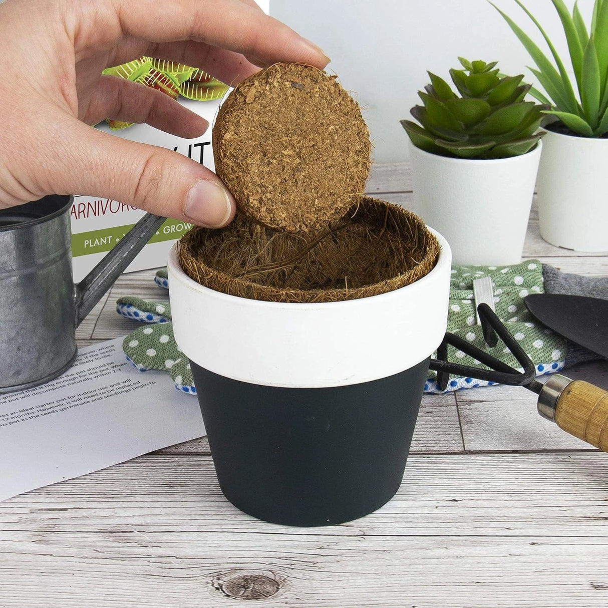 Killer Carnivorous Grow Kit