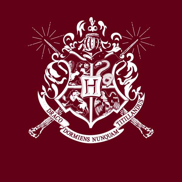 Official Harry Potter Hogwarts Crest Hoodie