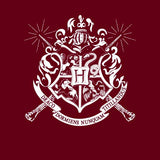 Official Harry Potter Hogwarts Crest Hoodie