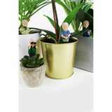 Attenborough Plant Pot Explorers