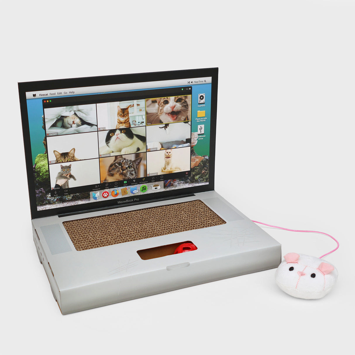 CAT SCRATCH LAPTOP