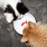 Goldfish Cat Bowl