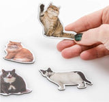 Fat Cat Magnets