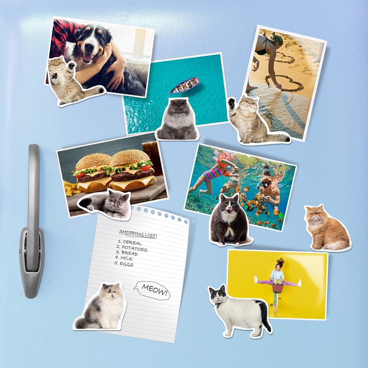 Fat Cat Magnets