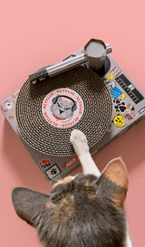 Cat Scratch Turntable