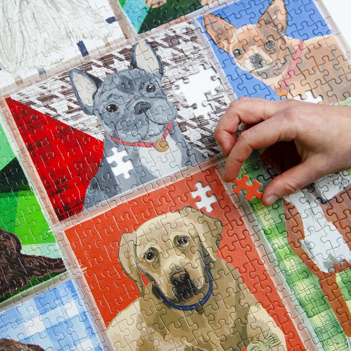 Pick Me Up Jigsaw Puzzle - Pooch