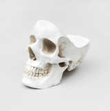 Skull Tidy