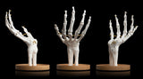 Skeleton Jewellery Tidy
