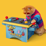 Cat Arcade Pet Toy