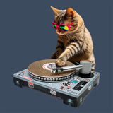 Cat Scratch Turntable