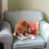 CAT SCRATCH LAPTOP