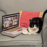 CAT SCRATCH LAPTOP