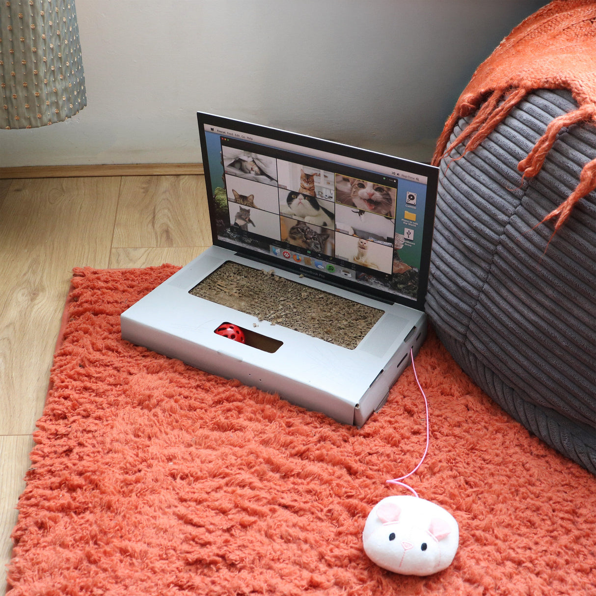 CAT SCRATCH LAPTOP