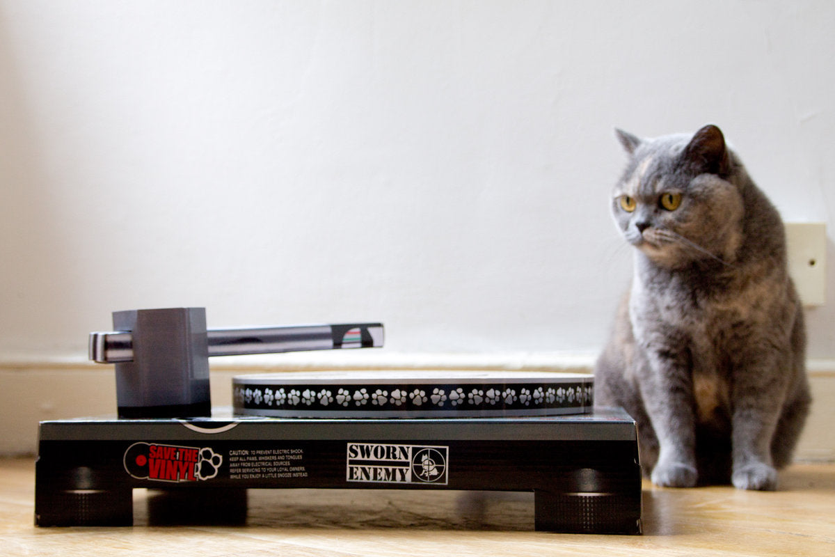 Cat Scratch Turntable