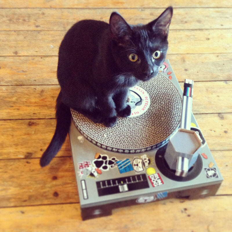 Cat Scratch Turntable