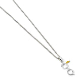 Harry Potter Sterling Silver Glasses and Lightning Bolt Necklace