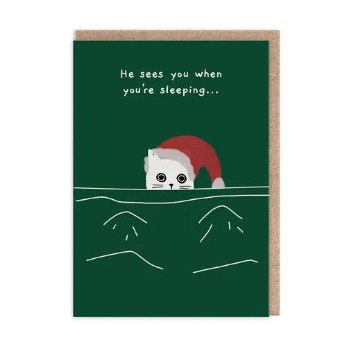 Sleeping Cat Christmas Card