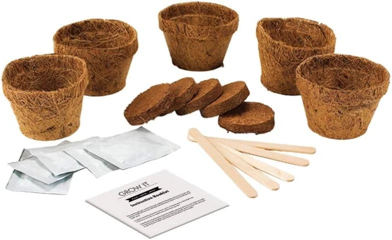 Killer Carnivorous Grow Kit