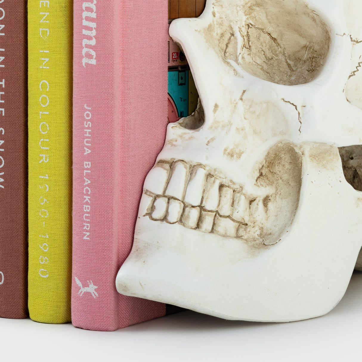 Skull Bookends