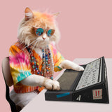CAT SCRATCH SYNTH